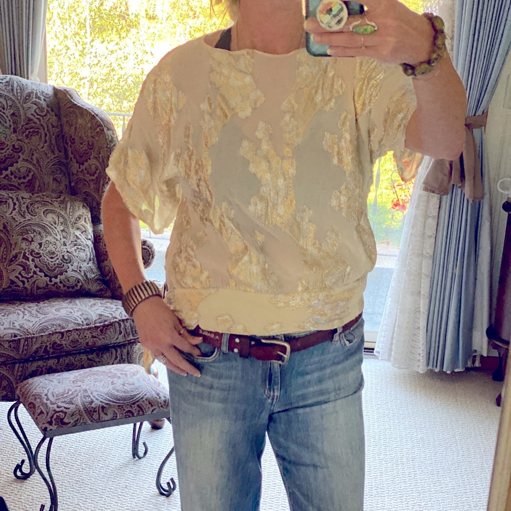 Awesome vintage sheer gold and silver top